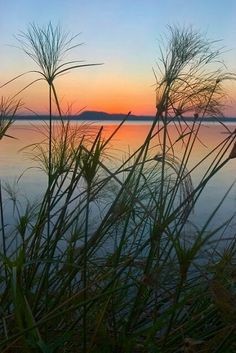 Atardecer