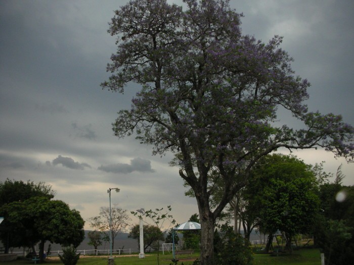 Tarde de Tormenta